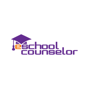 E-school Counselor
